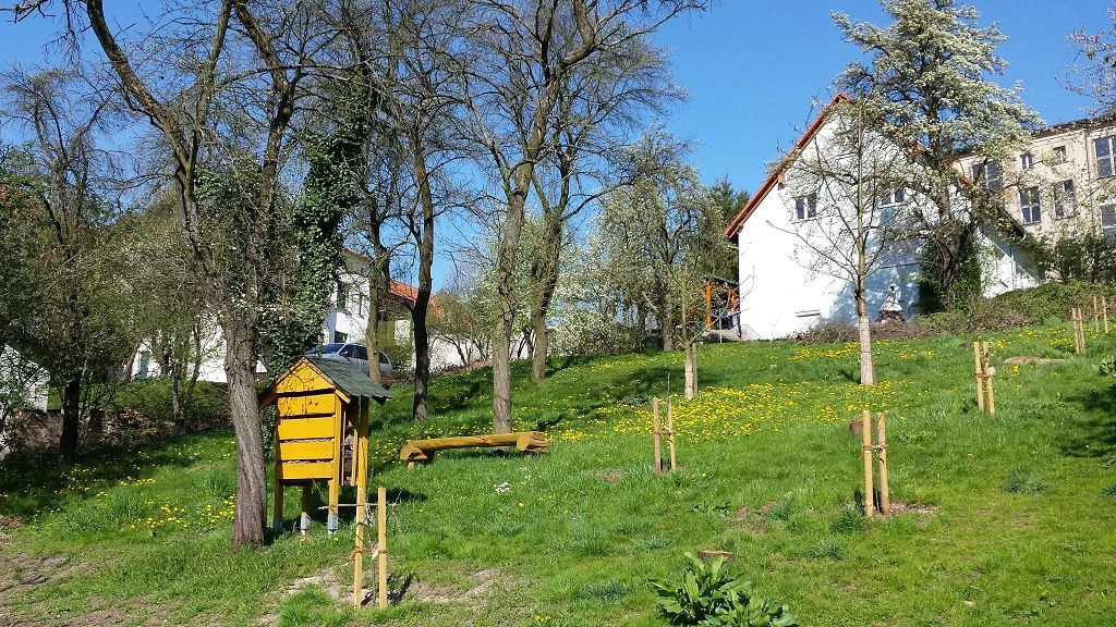 Streuobstwiese mit gelbem Bienenhaus, jungen und alten Bäumen.